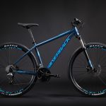 Silverback Spectra 29 – Swish Cycles